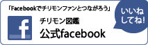 チリモン図鑑公式facebook