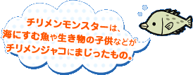 チリメンモンスターは、海にすむ魚や生き物の子供などがチリメンジャコにまじったもの。