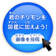 君のチリモンを図鑑に加えよう！