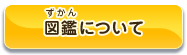 図鑑について