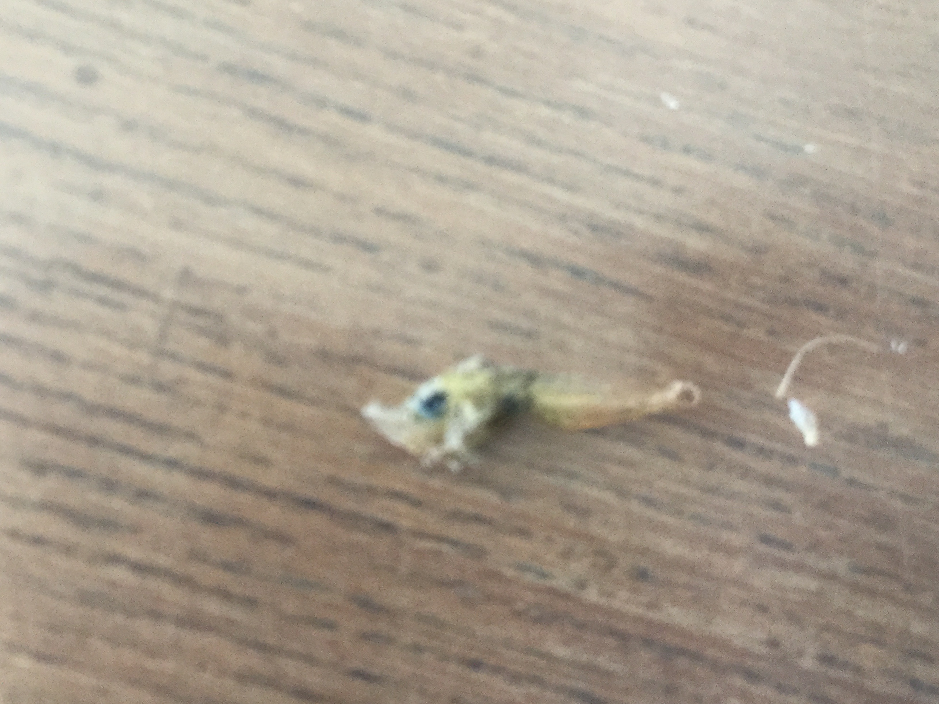 不明