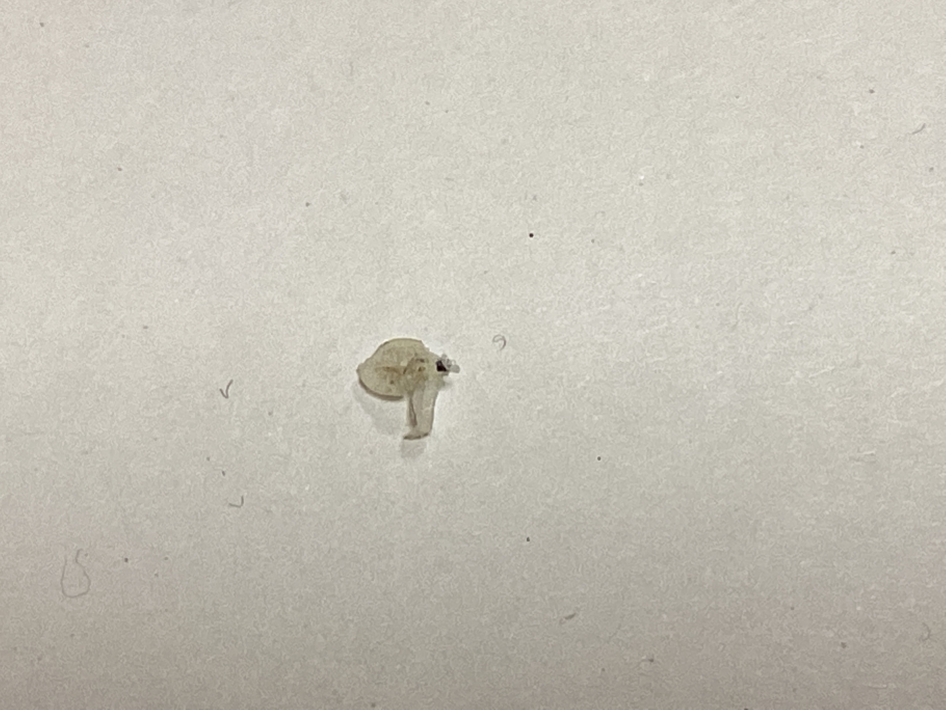 ?