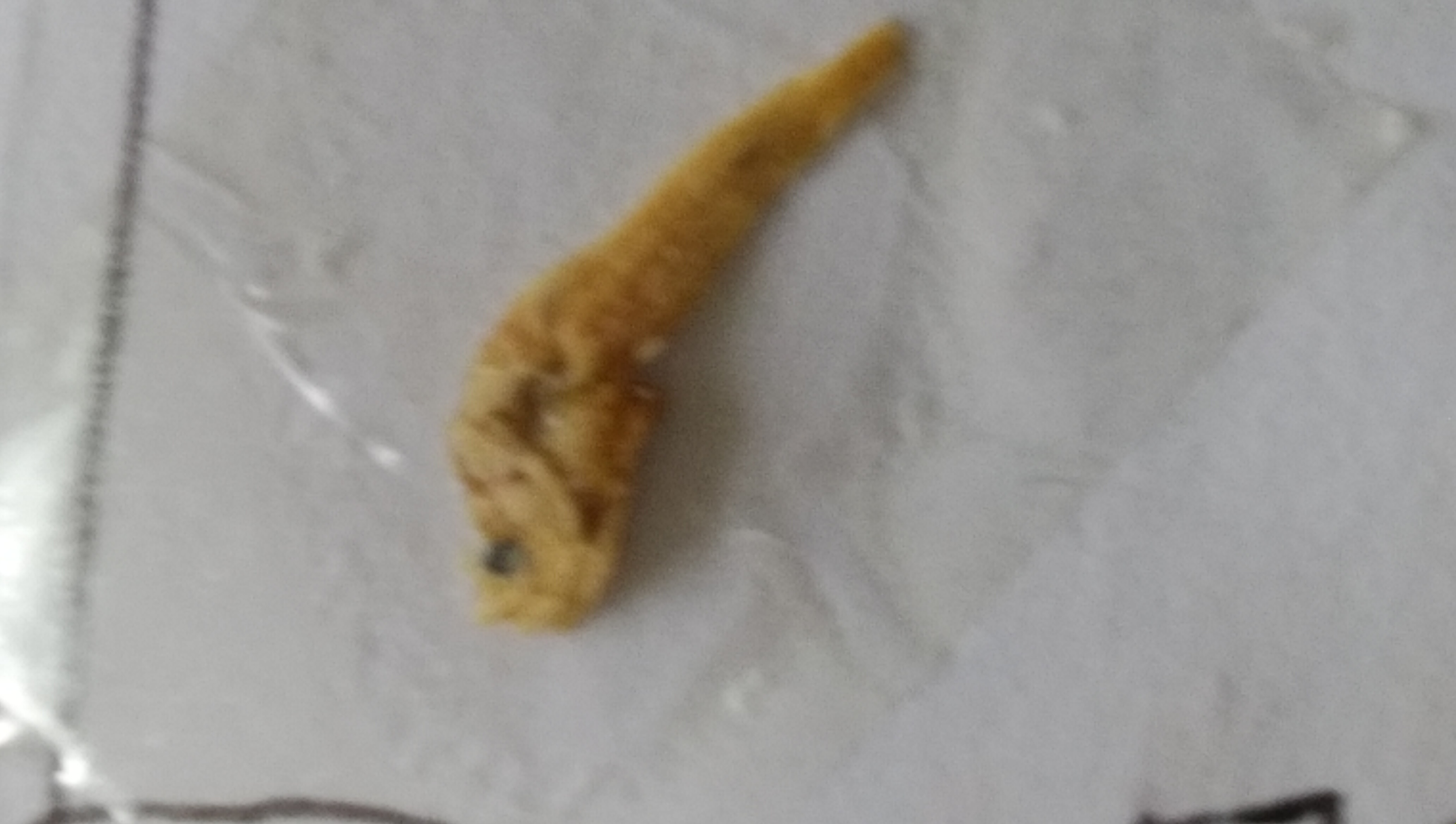 不明