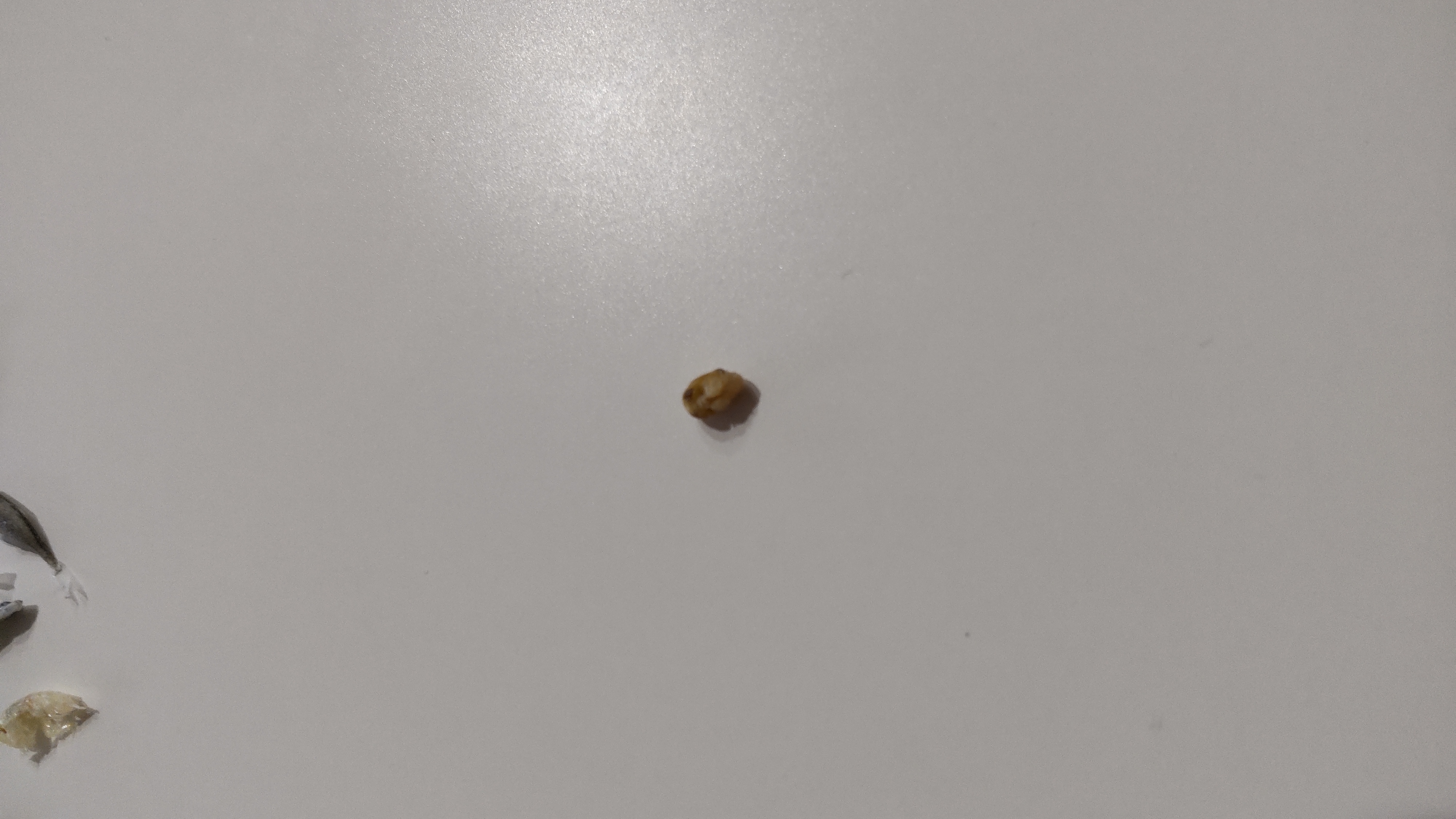 不明