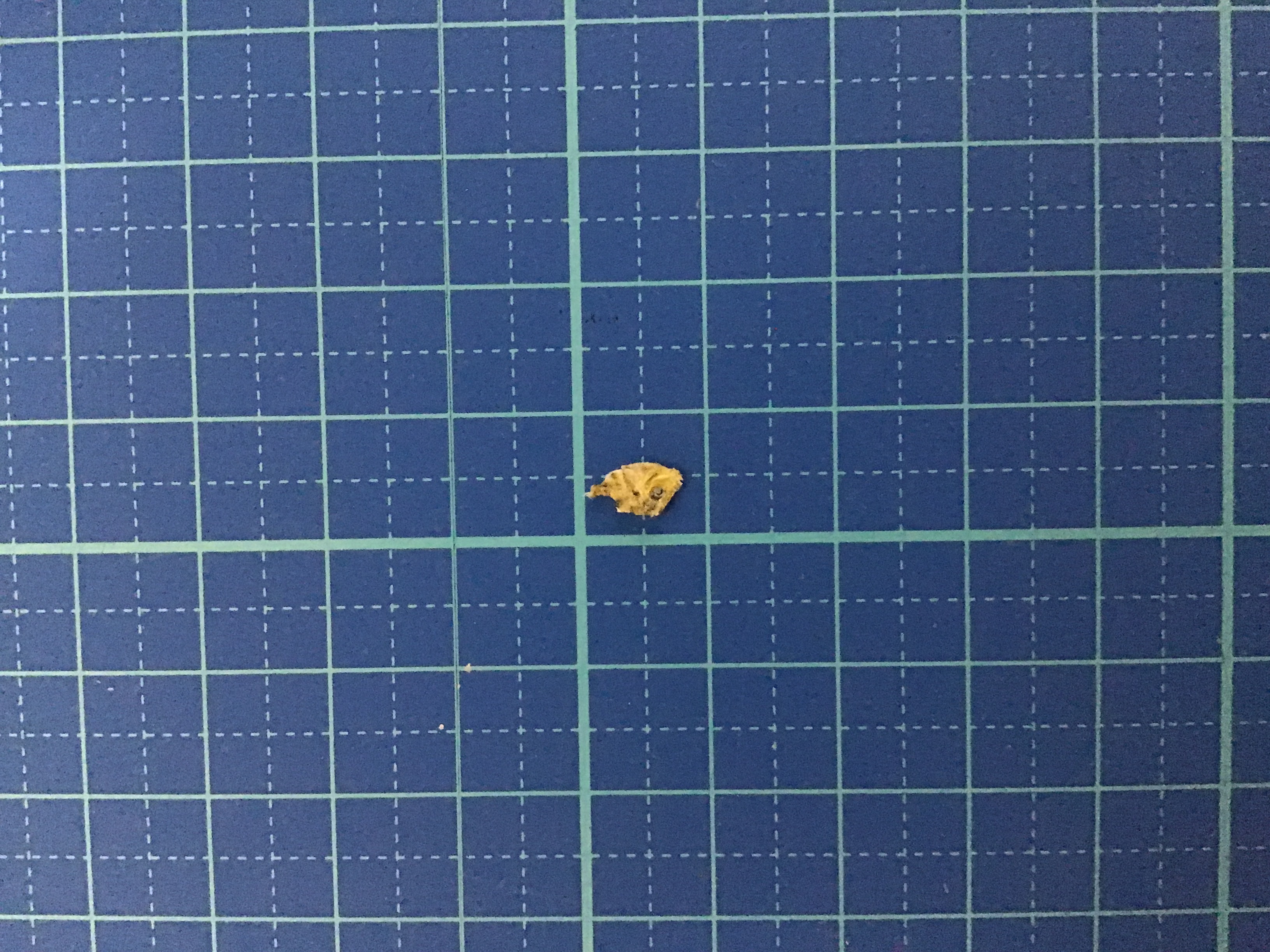 ?